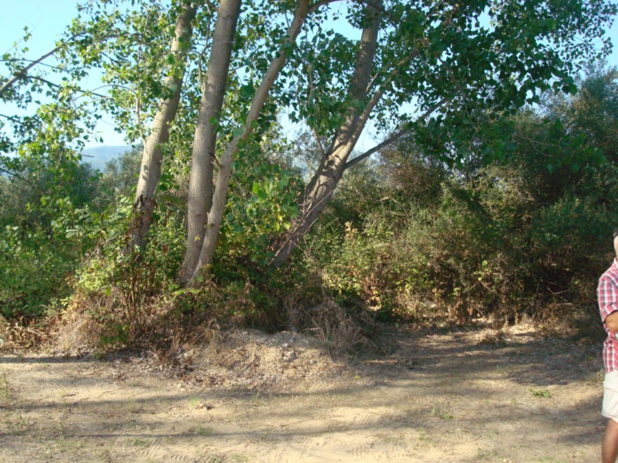 Grundstück in Nea Vrasna B-F-1-6