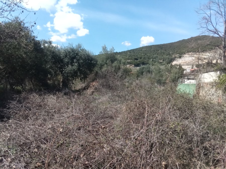 Grundstück, Kerdilia