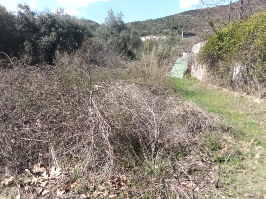 Grundstück, Kerdilia