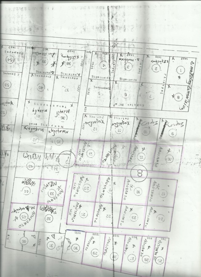 Longari, Kerdilia K-1-19