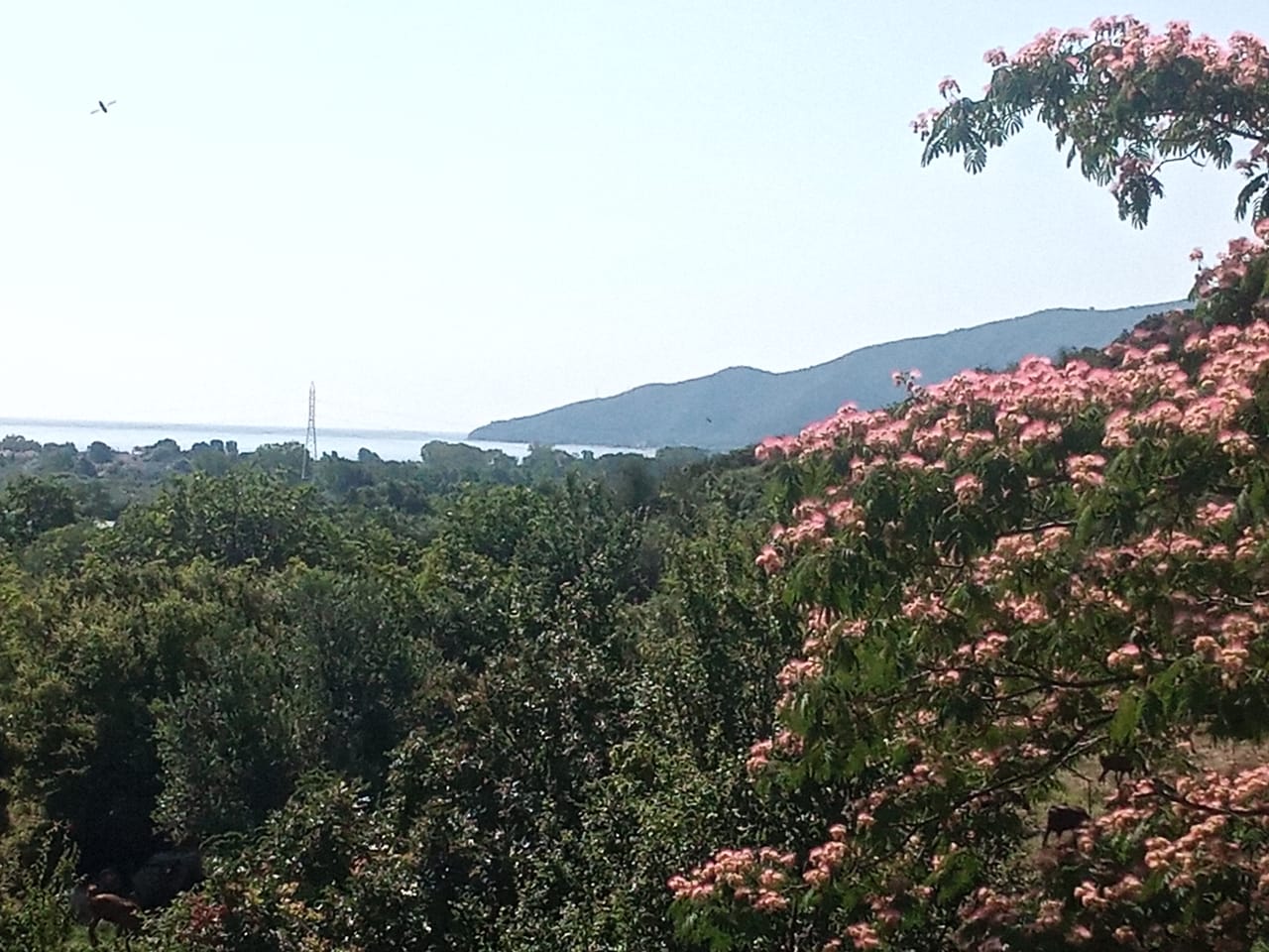 Haus B-2-17 | Vrasna